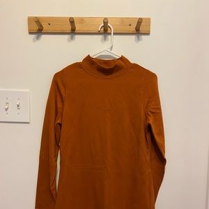 Everlane Mock-Turtleneck Dress